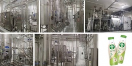 Probiotic Bacteria Yogurt and Milk Production Line