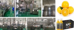 NFC Orange Juice Extracting Production Line